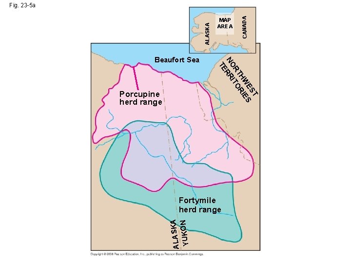 Porcupine herd range T ES S HW RIE RT ITO NO RR TE Beaufort