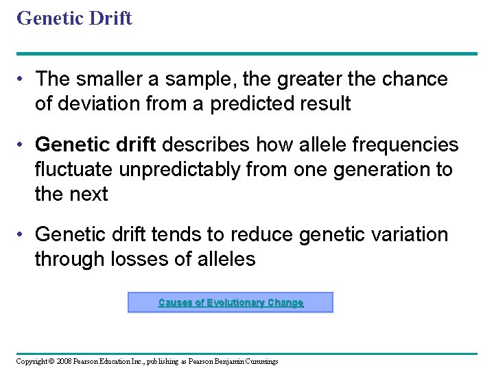 Genetic Drift • The smaller a sample, the greater the chance of deviation from