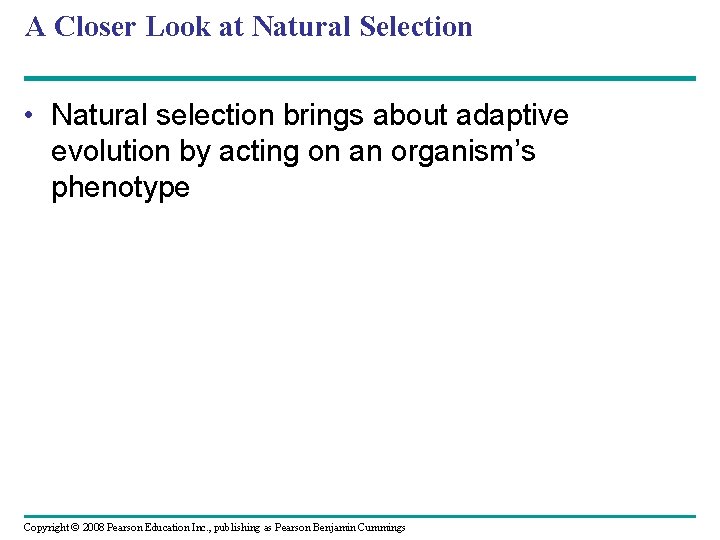 A Closer Look at Natural Selection • Natural selection brings about adaptive evolution by