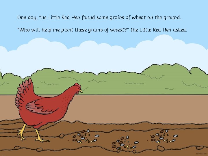 One day, the Little Red Hen found some grains of wheat on the ground.