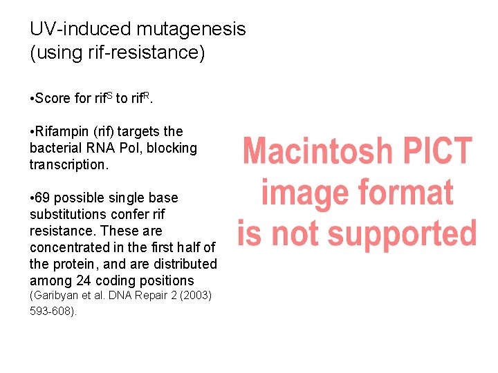 UV-induced mutagenesis (using rif-resistance) • Score for rif. S to rif. R. • Rifampin