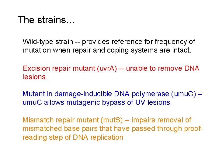 The strains… Wild-type strain -- provides reference for frequency of mutation when repair and