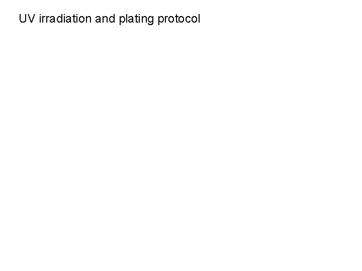 UV irradiation and plating protocol 