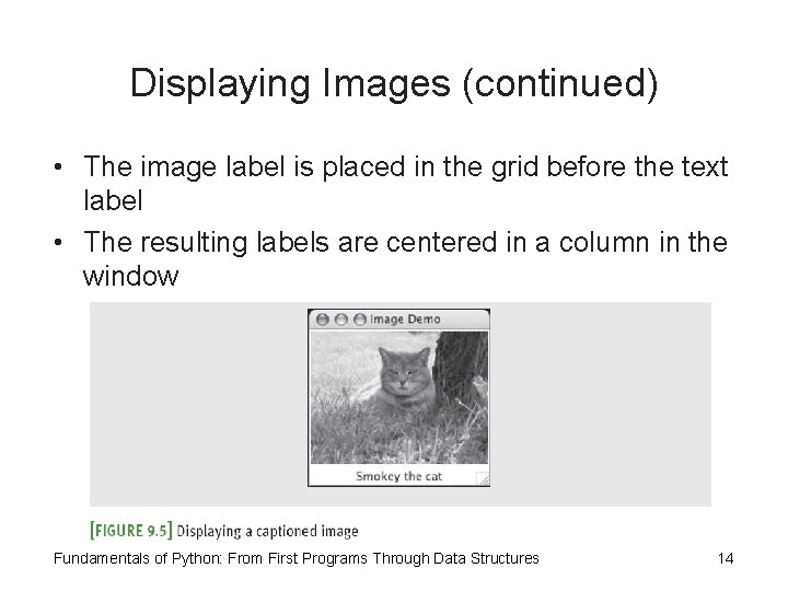 Displaying Images (continued) • The image label is placed in the grid before the