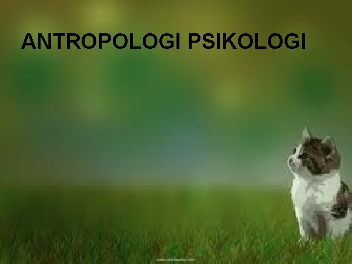 ANTROPOLOGI PSIKOLOGI 