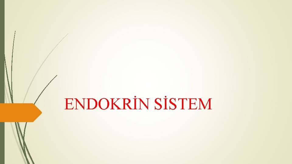 ENDOKRİN SİSTEM 