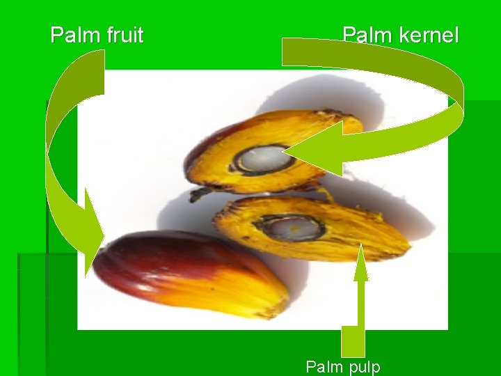 Palm fruit Palm kernel Palm pulp 