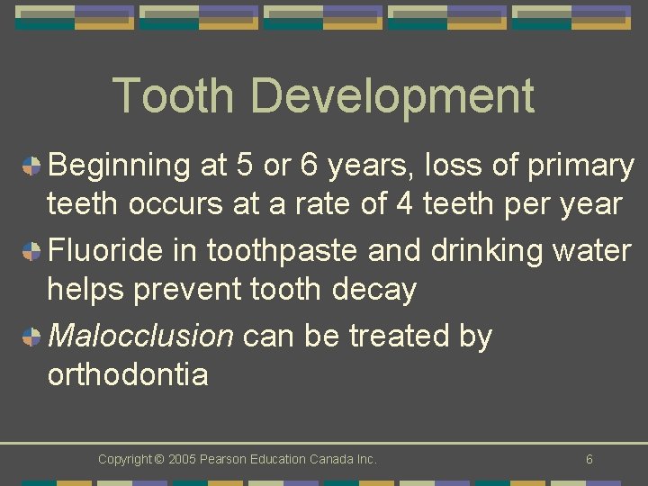 Tooth Development Beginning at 5 or 6 years, loss of primary teeth occurs at