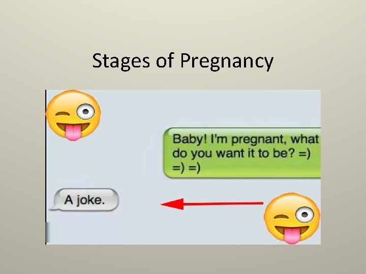 Stages of Pregnancy 