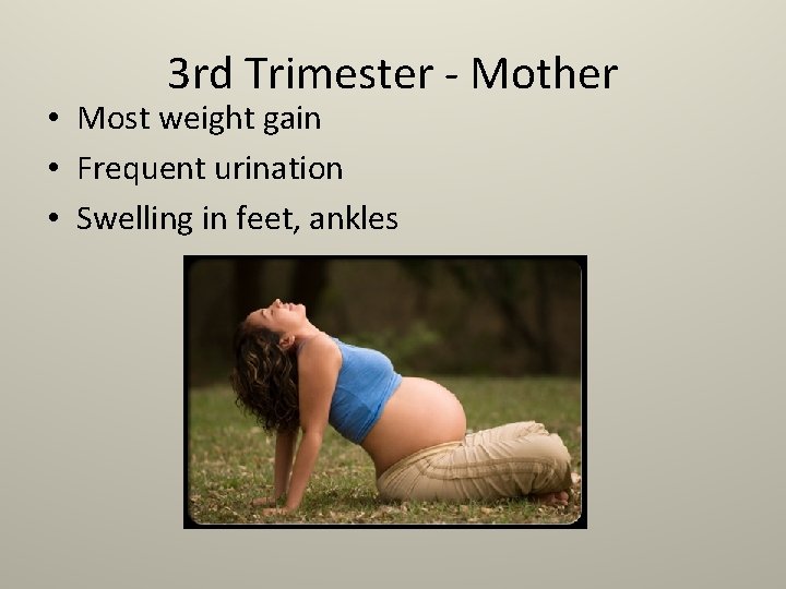 3 rd Trimester - Mother • Most weight gain • Frequent urination • Swelling