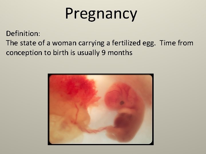 Pregnancy Definition: The state of a woman carrying a fertilized egg. Time from conception