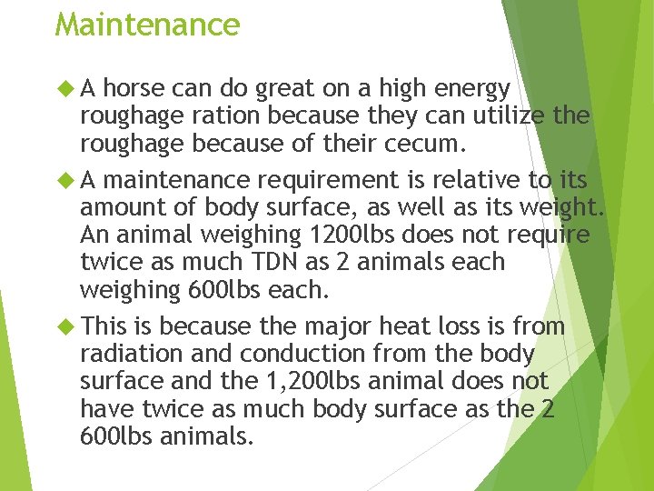 Maintenance A horse can do great on a high energy roughage ration because they