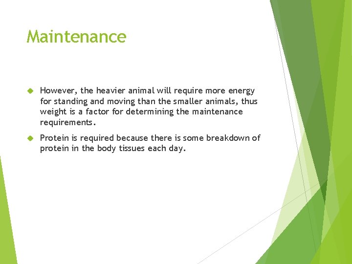 Maintenance However, the heavier animal will require more energy for standing and moving than