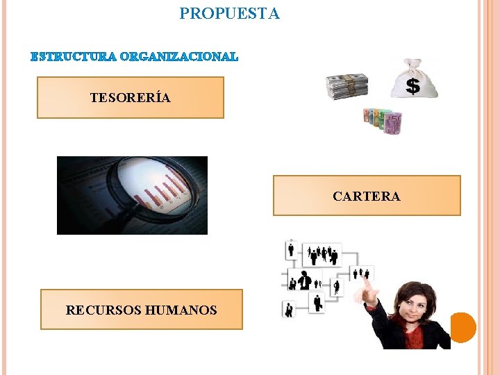 PROPUESTA ESTRUCTURA ORGANIZACIONAL TESORERÍA CARTERA RECURSOS HUMANOS 