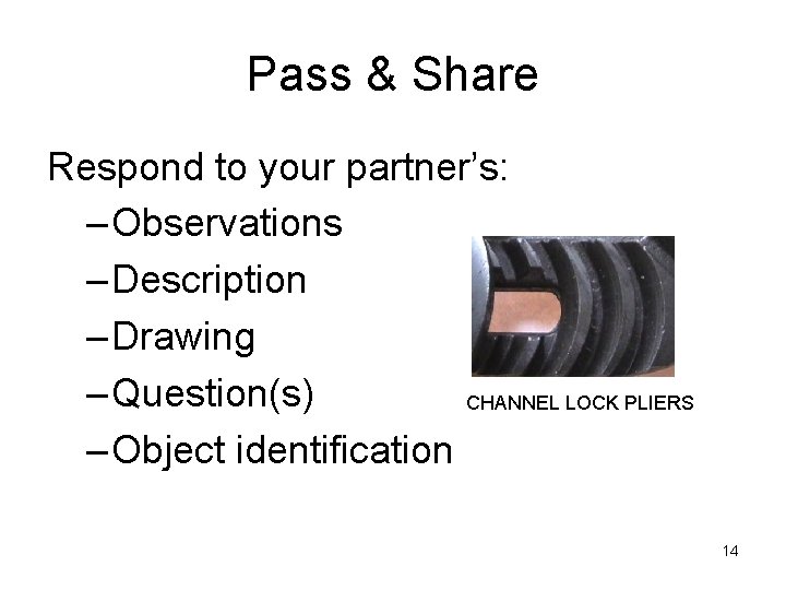 Pass & Share Respond to your partner’s: – Observations – Description – Drawing –