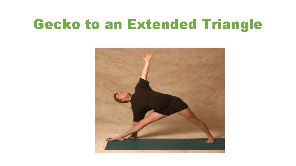 Gecko to an Extended Triangle 