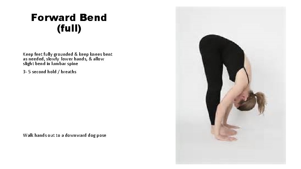 Forward Bend (full) Keep feet fully grounded & keep knees bent as needed, slowly
