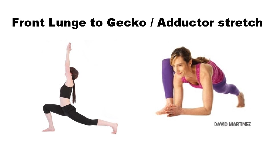 Front Lunge to Gecko / Adductor stretch 