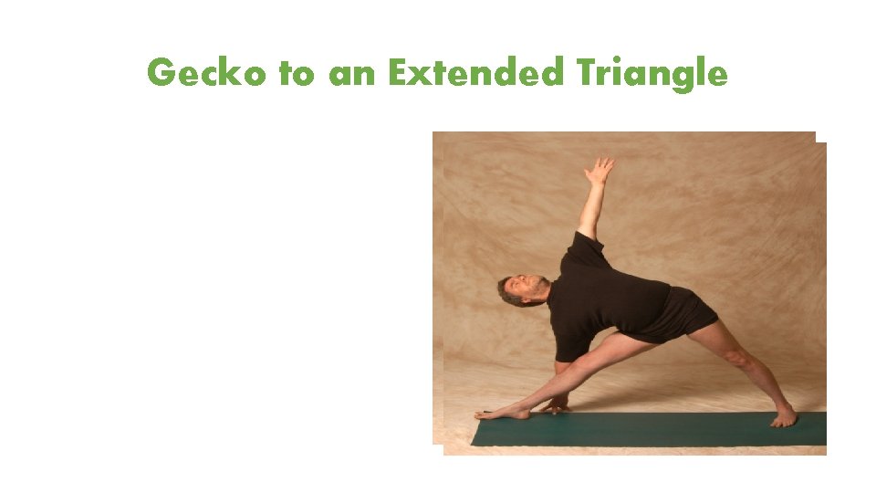 Gecko to an Extended Triangle 