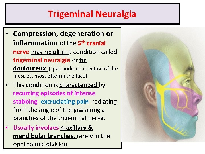 Trigeminal Neuralgia • Compression, degeneration or inflammation of the 5 th cranial nerve may