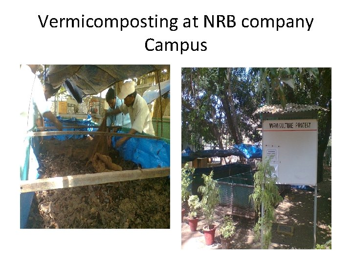 Vermicomposting at NRB company Campus 