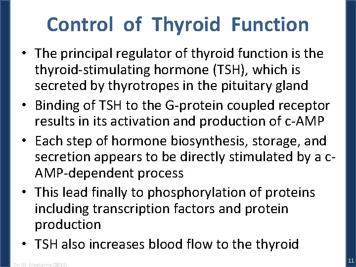 Control of Thyroid Function • The principal regulator of thyroid function is the thyroid-stimulating