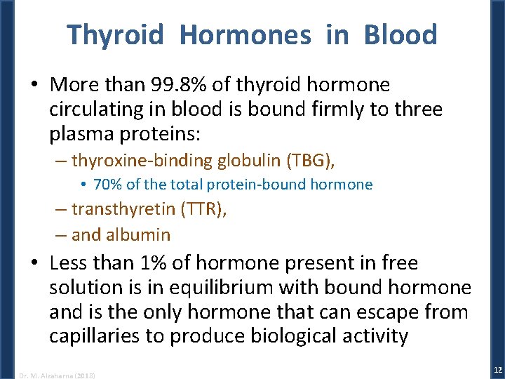Thyroid Hormones in Blood • More than 99. 8% of thyroid hormone circulating in