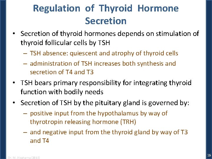 Regulation of Thyroid Hormone Secretion • Secretion of thyroid hormones depends on stimulation of