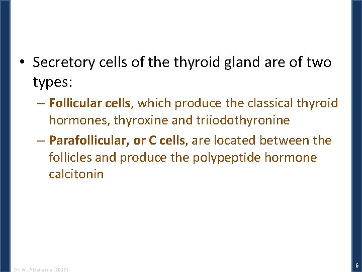  • Secretory cells of the thyroid gland are of two types: – Follicular