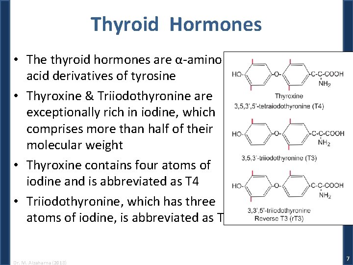 Thyroid Hormones • The thyroid hormones are α-amino acid derivatives of tyrosine • Thyroxine