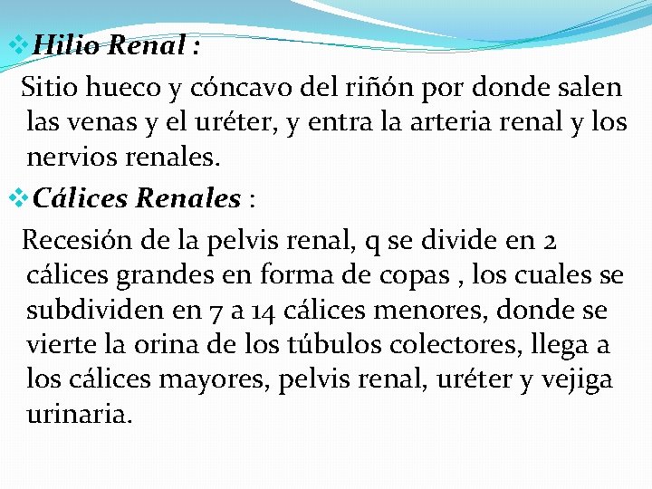 v. Hilio Renal : Sitio hueco y cóncavo del riñón por donde salen las