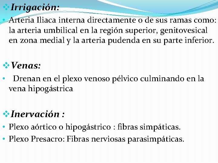 v. Irrigación: • Arteria Iliaca interna directamente o de sus ramas como: la arteria