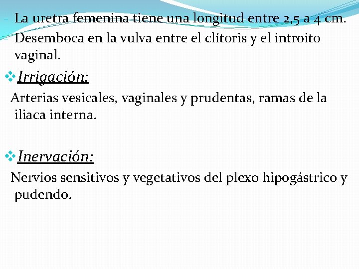 - La uretra femenina tiene una longitud entre 2, 5 a 4 cm. -