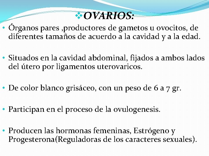 v. OVARIOS: • Órganos pares , productores de gametos u ovocitos, de diferentes tamaños