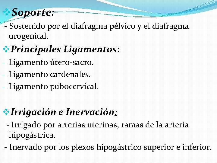 v. Soporte: - Sostenido por el diafragma pélvico y el diafragma urogenital. v. Principales