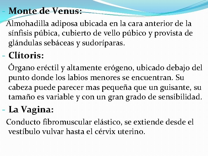 - Monte de Venus: Almohadilla adiposa ubicada en la cara anterior de la sínfisis