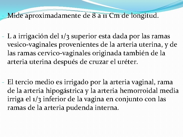 - Mide aproximadamente de 8 a 11 Cm de longitud. - L a irrigación