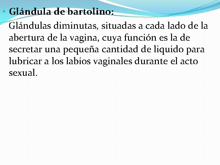  • Glándula de bartolino: Glándulas diminutas, situadas a cada lado de la abertura