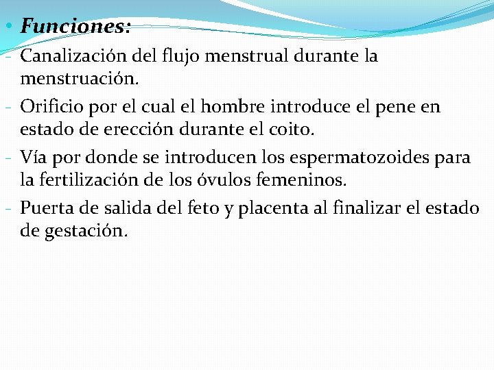  • Funciones: - Canalización del flujo menstrual durante la menstruación. - Orificio por