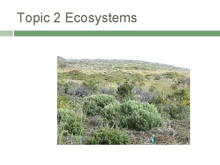 Topic 2 Ecosystems 