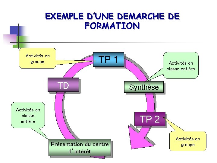 EXEMPLE D’UNE DEMARCHE DE FORMATION Activités en groupe TP 1 TD Activités en classe