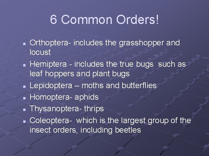 6 Common Orders! n n n Orthoptera- includes the grasshopper and locust Hemiptera -