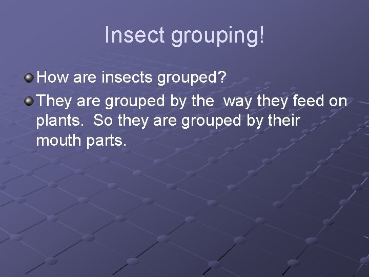 Insect grouping! How are insects grouped? They are grouped by the way they feed