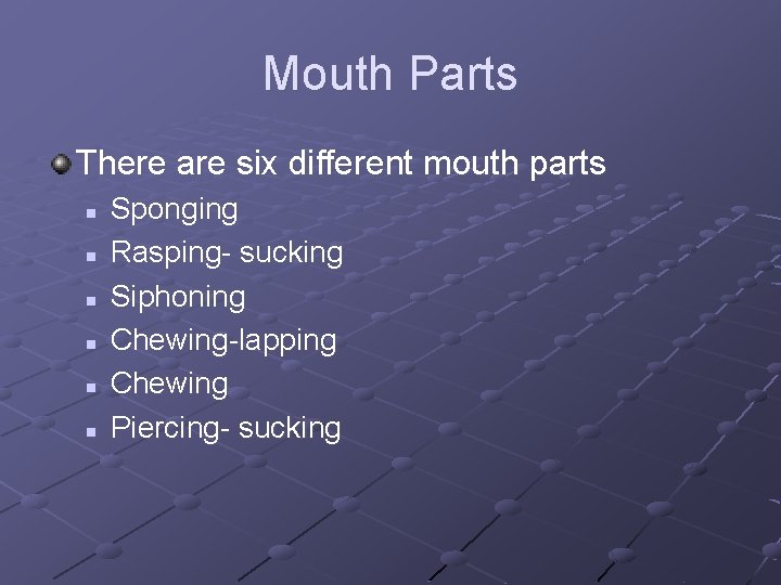 Mouth Parts There are six different mouth parts n n n Sponging Rasping- sucking