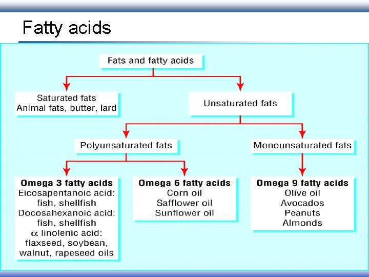 Fatty acids Fatty acids