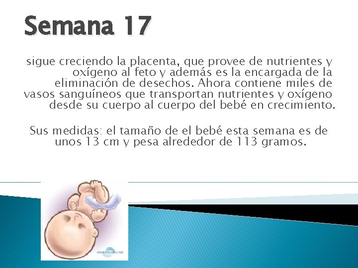 Semana 17 sigue creciendo la placenta, que provee de nutrientes y oxígeno al feto