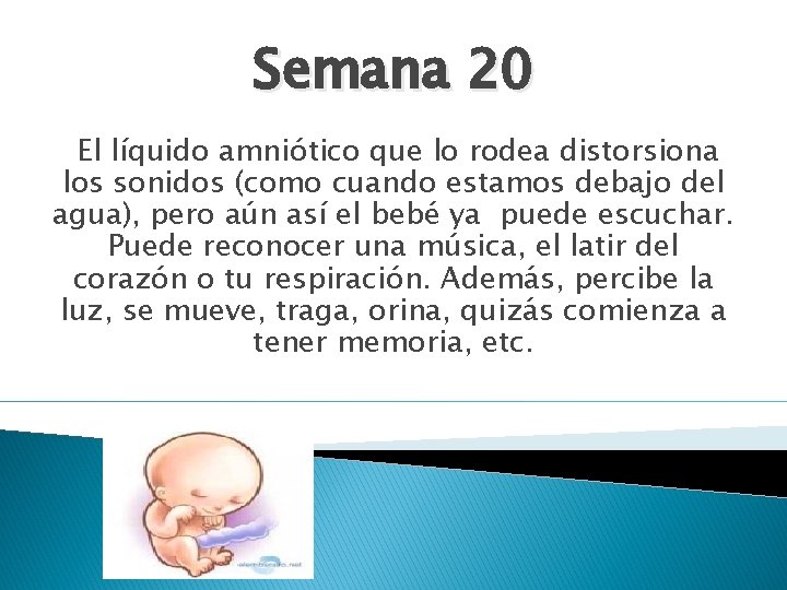 Semana 20 El líquido amniótico que lo rodea distorsiona los sonidos (como cuando estamos