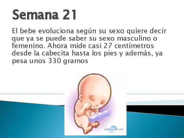 Semana 21 El bebe evoluciona según su sexo quiere decir que ya se puede