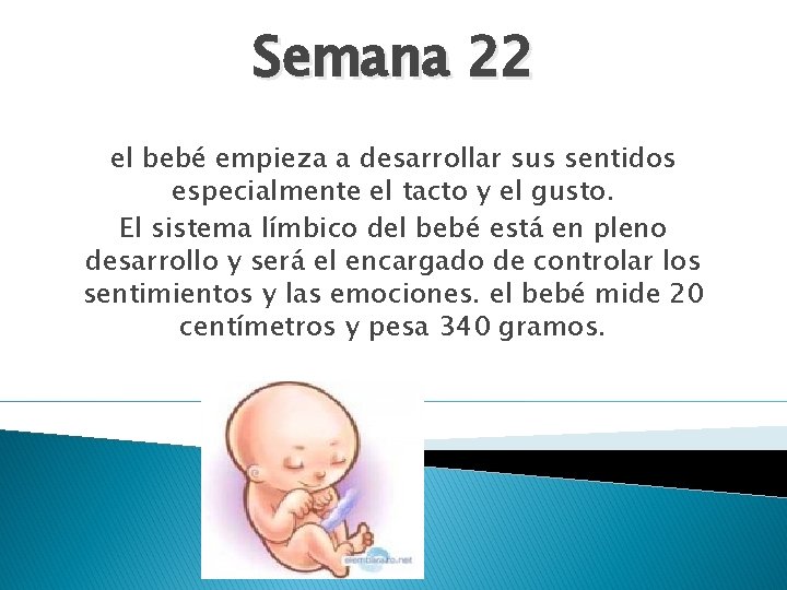 Semana 22 el bebé empieza a desarrollar sus sentidos especialmente el tacto y el