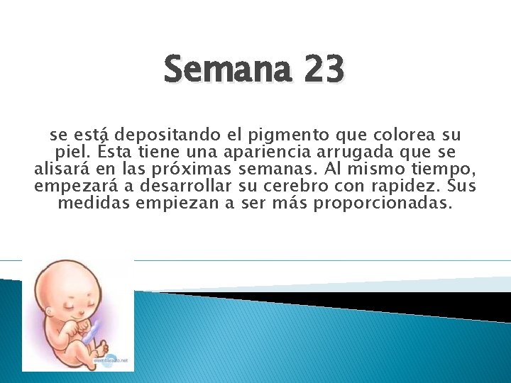 Semana 23 se está depositando el pigmento que colorea su piel. Ésta tiene una